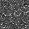 2025ngy_image
