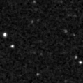 2025niu_image