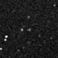 2025niw_image