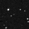2025njo_image