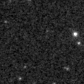 2025njs_image