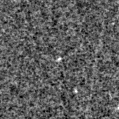 2025nkg_image
