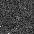 2025nlk_image