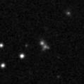 2025nnj_image
