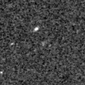 2025noi_image