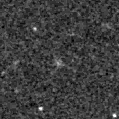 2025npw_image