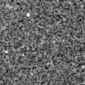 2025nty_image