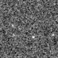 2025nvi_image