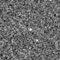 2025nvk_image