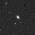 2025nvn_image