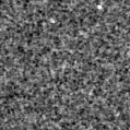 2025nvt_image