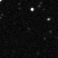 2025nwf_image