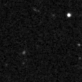 2025nwg_image