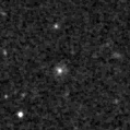 2025nwl_image