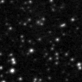 2025nyo_image