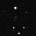 2025nyw_image