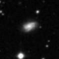 2025nz_image