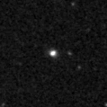 2025nza_image
