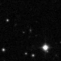 2025nzf_image