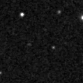2025nzg_image