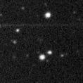 2025nzk_image