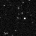 2025nzt_image