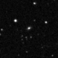 2025nzw_image