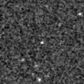 2025nzx_image