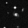 2025nzz_image