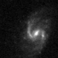 2025oas_image