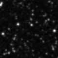 2025oat_image