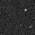 2025odx_image
