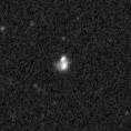 2025oel_image