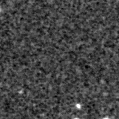 2025ogb_image