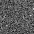 2025ogj_image