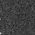 2025ohc_image
