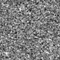 2025ohk_image