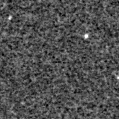 2025ohm_image