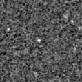 2025oib_image