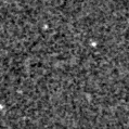 2025oid_image