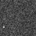 2025oim_image