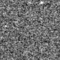 2025oll_image