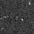 2025omo_image