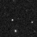 2025opf_image