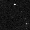 2025org_image