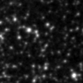2025ors_image