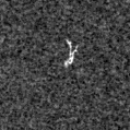 2025pf_image