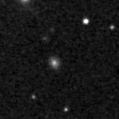2025po_image