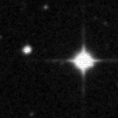 2025pz_image