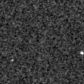 2025scy_image
